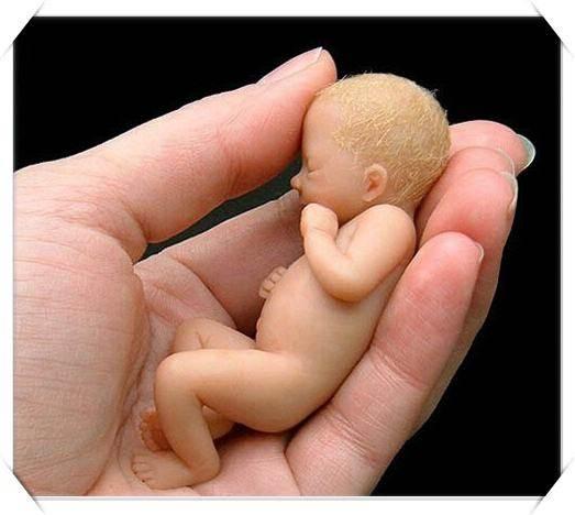 堕胎婴灵怎样超度为自己的孩子 ， 不要相信堕胎婴灵报应(图1)